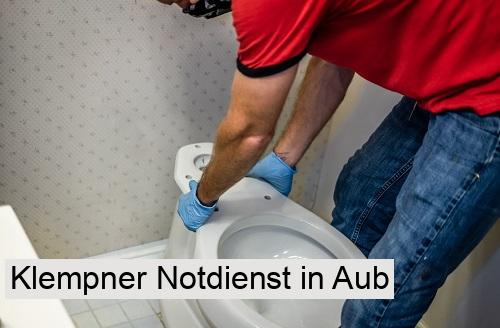 Klempner Notdienst in Aub